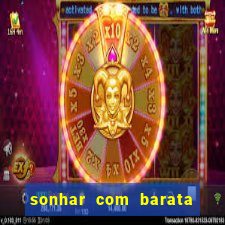 sonhar com barata jogo do bicho